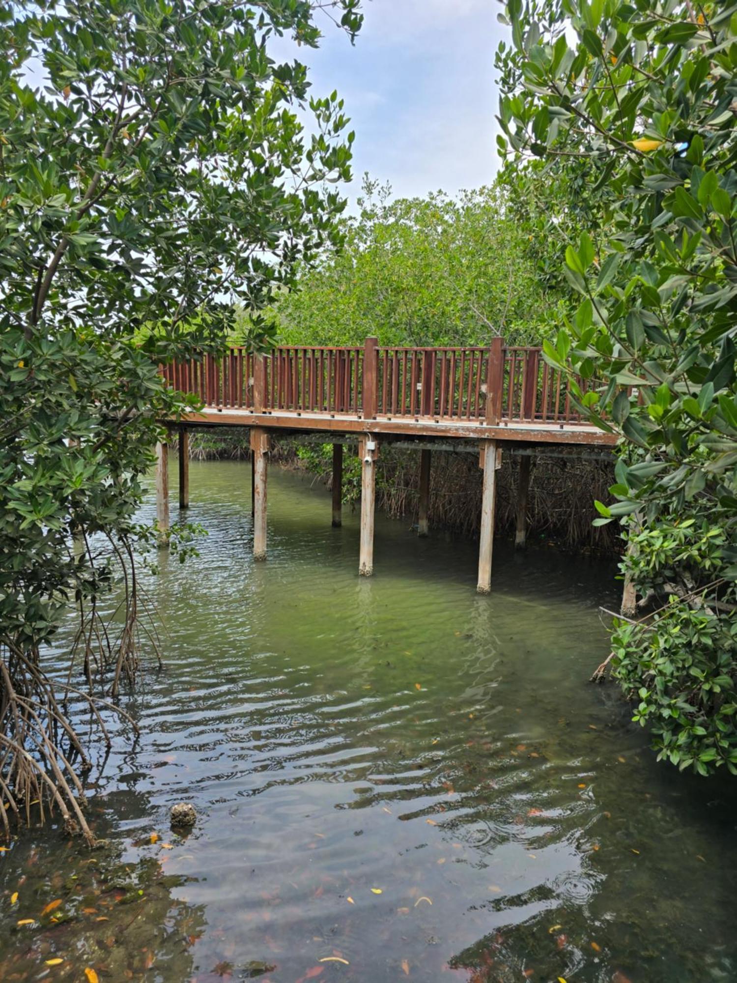 Hotel Los Veleros Santa Marta Exterior foto